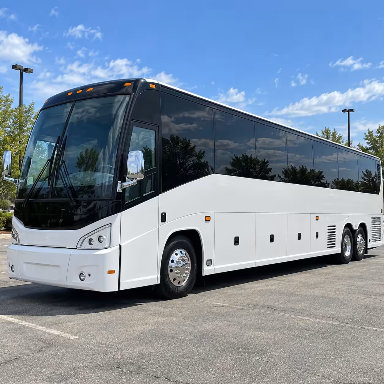 detroit tigers group transportation to fifth third park